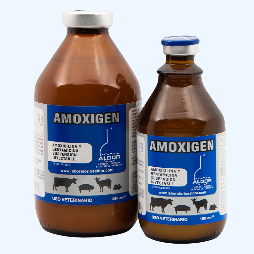 card-amoxigen.jpg