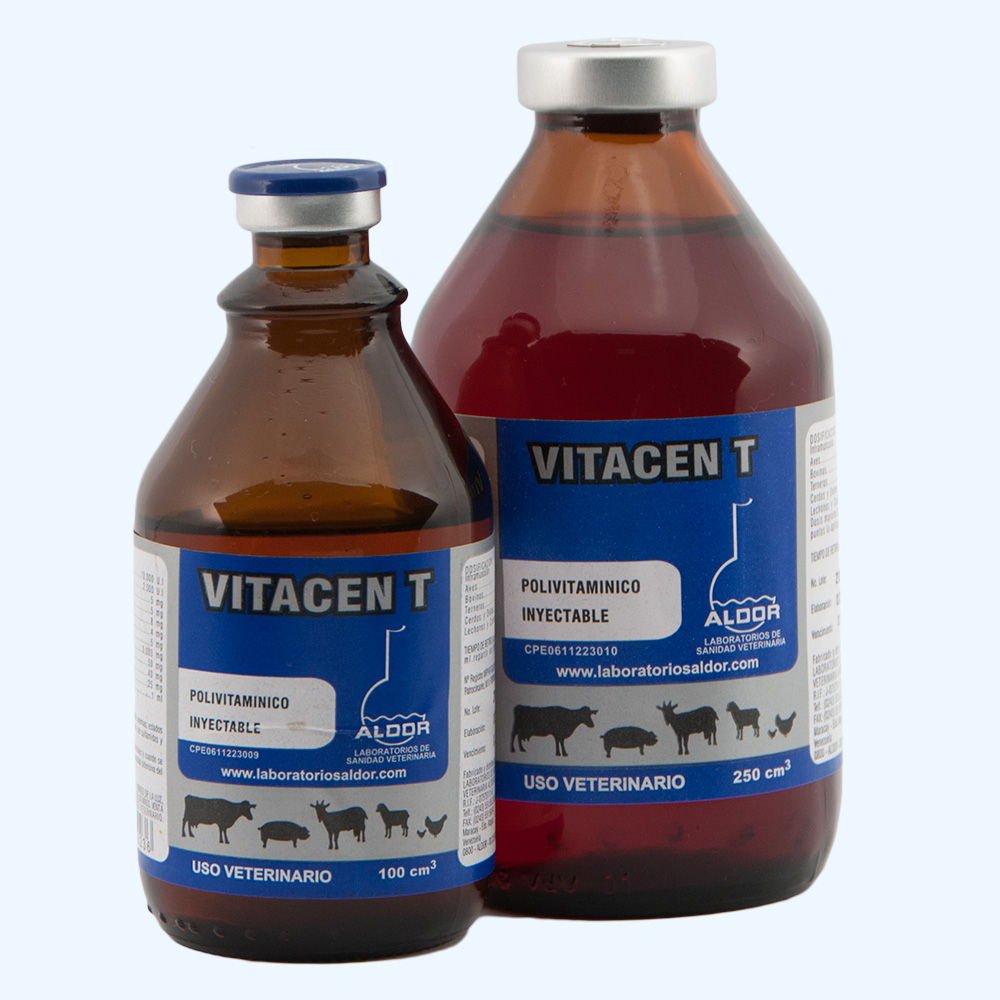 card-vitacent.jpg